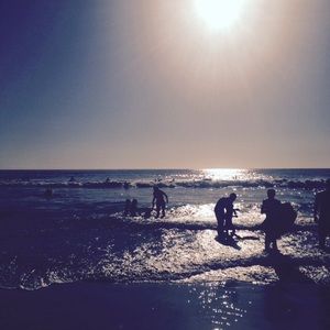 Meet your Posher, Carol